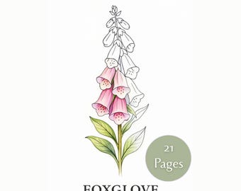 Wildflower Coloring Pages for Adults | 21 Botanical Plant Study Printables A4