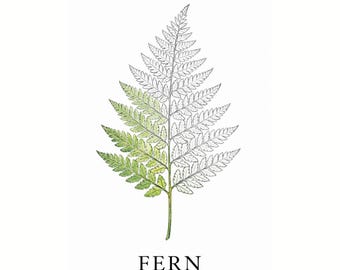 Wald Ausmalbilder PDF zum ausdrucken - Wald Botanische Natur Kunst für Erwachsene Kinder - 11 A4 Wald Malvorlagen - Digitaler Download