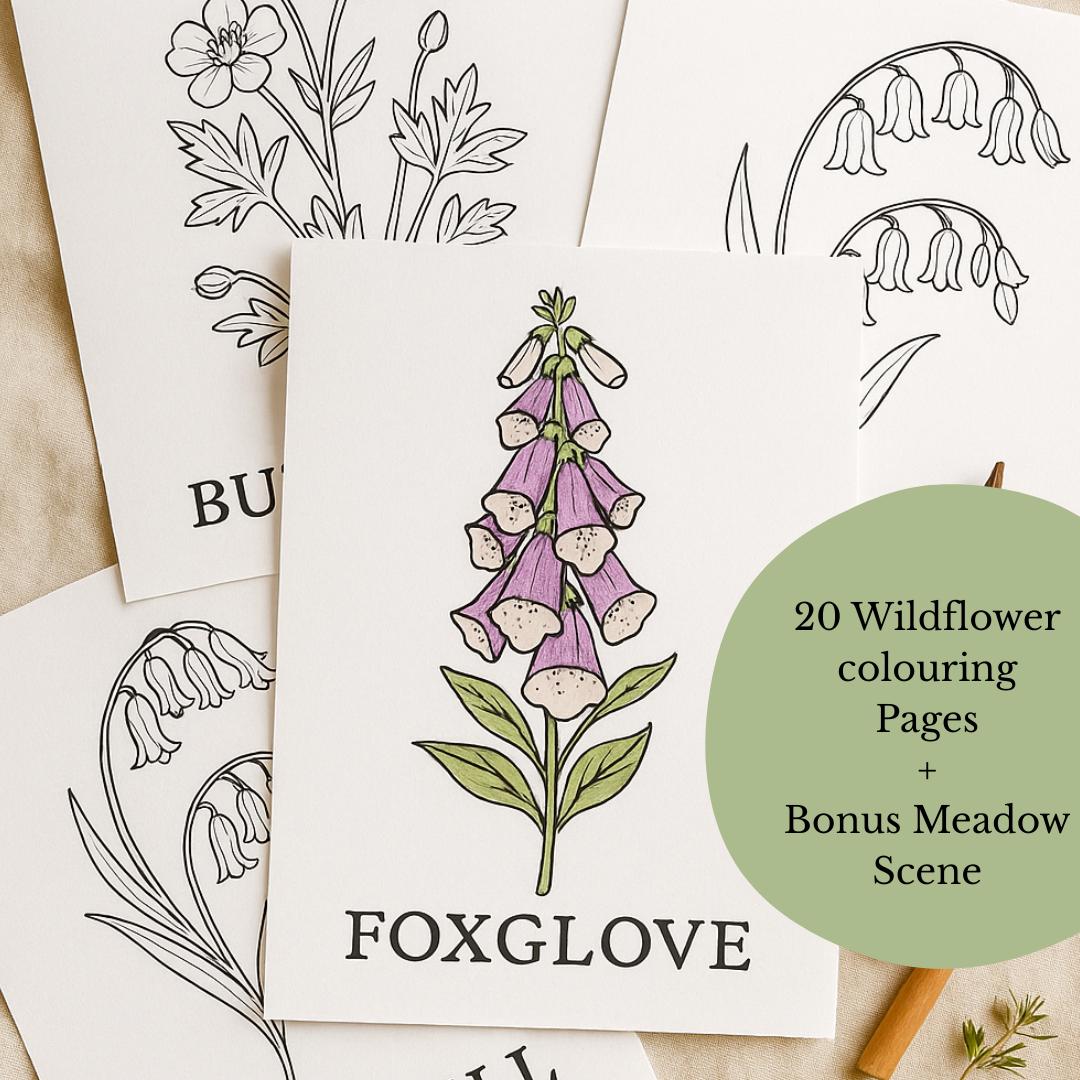 Páginas para colorear de flores silvestres A4 imprimibles para adultos | Arte botánico | Actividad mindful | PDF instantáneo