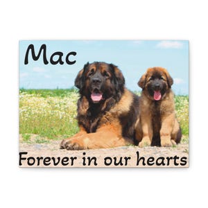 Canvas Print, Personalized Rainbow Bridge Tribute, Custom Pet Loss Gift - Memorial Wall Art, Pet Remembrance Decor, Sympathy Present, Pet