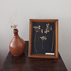 May include: A framed botanical art piece featuring dried flowers against a black background. The wooden frame has a decorative edge. Beside it, a brown ceramic vase holds dried flowers. The text on the frame reads "The days of the solitude."