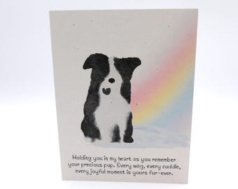 Dog Bereavement Card | Border Collie Pet Death Thinking of You Card