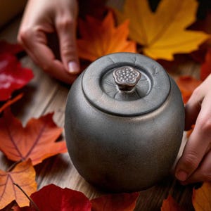 Shigaraki Ceramic Salt Cellar with Lid: Wabi Sabi Kitchen Storage Jar