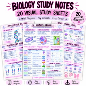 May include: A set of 20 biology study sheets featuring detailed diagrams and key concepts. The sheets cover topics like DNA structure, cell anatomy, genetics, and mitosis versus meiosis, using colorful illustrations and text for educational review.