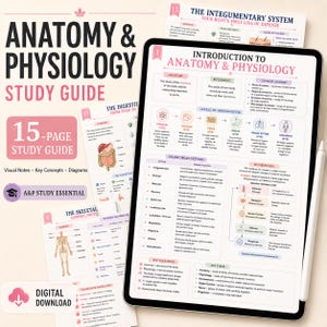 Puede incluir: Guía de estudio de anatomía y fisiología en descarga digital con 15 páginas de notas visuales, conceptos clave y diagramas. Una tableta muestra una página de introducción con gráficos sobre sistemas orgánicos y homeostasis.