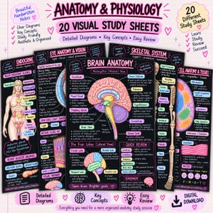 May include: A collection of 20 anatomy and physiology study sheets featuring black backgrounds with colourful diagrams and white text. Topics include the endocrine system, eye anatomy, brain anatomy, the skeletal system, and cell anatomy and tissues.