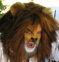 Lion Costume - Mane and Tail