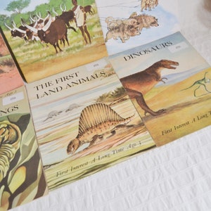 Vintage First Interest Books, Ginn & Company, 1960s 70's Nature Animals x26 image 6