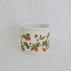 May include: A white ceramic cylindrical container featuring a botanical illustration of Anagallis arvensis with bright orange flowers, green leaves, and a small yellow butterfly. The text ANAGALLIS ARVENSIS is printed in green at the base.