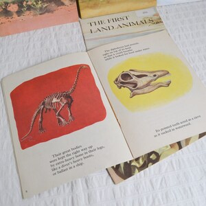 Vintage First Interest Books, Ginn & Company, 1960s 70's Nature Animals x26 image 8