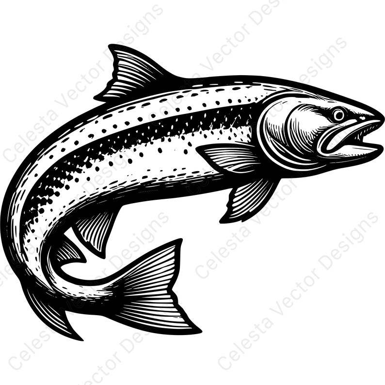 Salmon Fish Vector Clipart - 4 Digital Download Images for Cricut ...