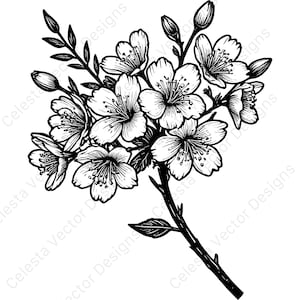 Cherry blossom clipart set - 4 vector images for digital download - svg, png, jpg, pdf, eps files for cricut & silhouette projects