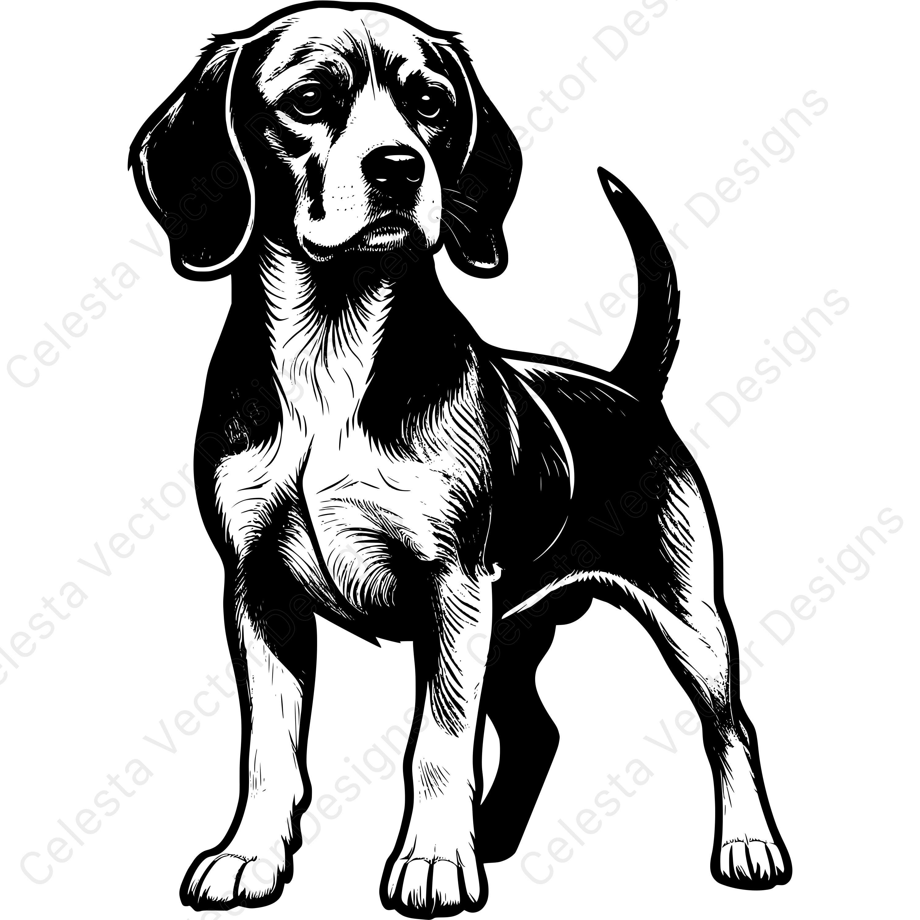 Beagle Portrait Clipart - 4 Vector Images for Digital Download (svg ...