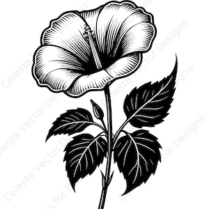 Morning glory vector clipart - 4 digital download images for cricut, silhouette, svg, png, jpg, pdf, eps files