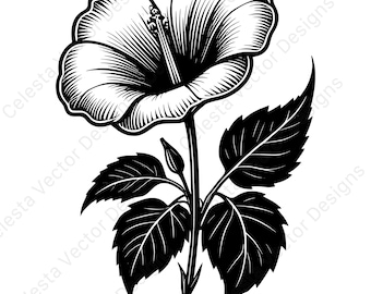 Morning glory vector clipart - 4 digital download images for cricut, silhouette, svg, png, jpg, pdf, eps files