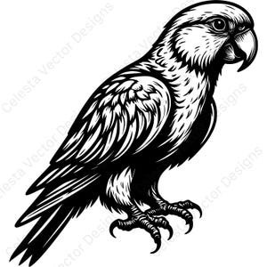 Parrot vector clipart set - 4 digital download images for cricut, silhouette, svg, png, jpg, pdf, eps files