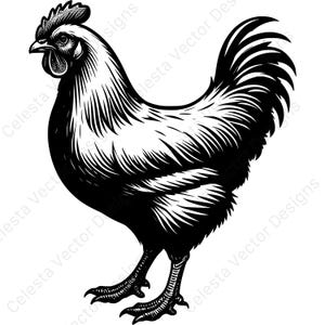 Chicken portrait clipart - 4 vector images digital download for cricut, silhouette, svg, png, jpg, pdf, eps files