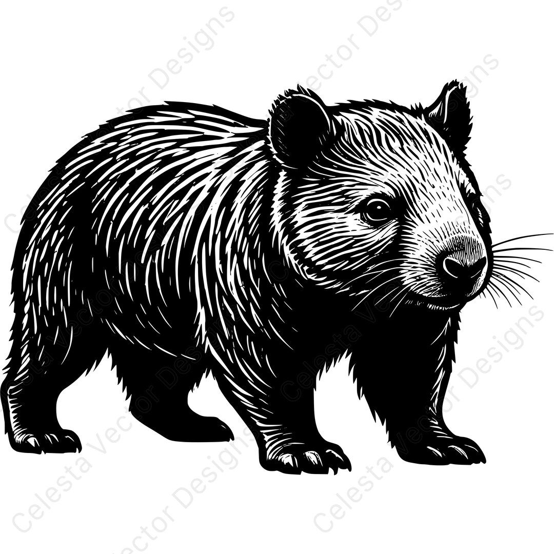 Wombat Bitmap Wombat Portrait Vector Clipart Set of 4 Images Digital Download Svg Png ...
