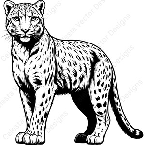 Könnte beinhalten: Schwarz-Weiß-Illustration eines Leoparden in stehender Pose. Der Leopard hat ein detailliertes Design mit Flecken und Fellstruktur. Das Bild ist ein Vektordesign, das für verschiedene Anwendungen geeignet ist.