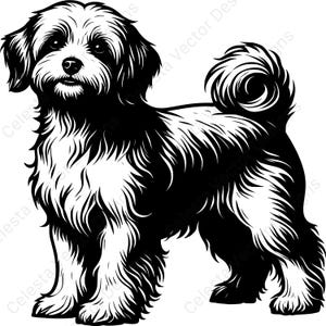 Havanese dog portrait clipart, 4 images vector digital download for cricut, silhouette, svg, png, jpg, pdf, eps files included