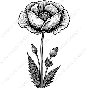 Poppy flower vector clipart - 4 digital download images for cricut, silhouette - svg, png, jpg, pdf, eps files included