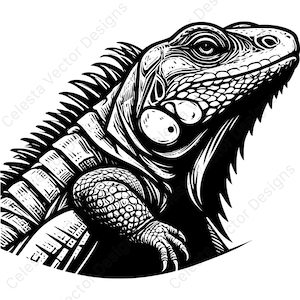 Iguana portrait clipart - 4 vector images digital download for cricut and silhouette - svg, png, jpg, pdf, eps files included