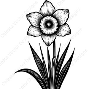 May include: Black and white illustration of a daffodil flower. The flower has detailed petals and a central cup-shaped corona. Long, pointed leaves extend from the base. The text "Celesta Vector Designs" is visible.