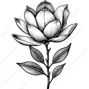 Paquete de imágenes prediseñadas de flores de magnolia: 4 imágenes vectoriales para descarga digital (SVG, PNG, JPG, PDF, EPS), perfectas para proyectos de Cricut y Silhouette.