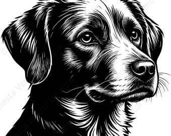 Hundporträtt vektor clipart set med 4 digitala nedladdningar svg png jpg pdf eps-filer för Cricut silhuett hantverksprojekt