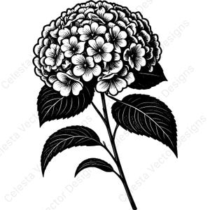 Hydrangea flower vector clipart - 4 digital download images for cricut & silhouette | svg, png, jpg, pdf, eps files included