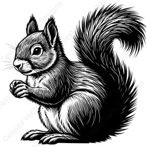 May include: Black and white illustration of a squirrel in a side profile. The squirrel is holding something in its paws, with a fluffy tail and detailed fur texture. The image has a vintage, woodcut style.