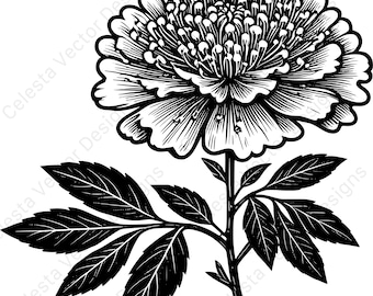 Hawthorn flower vector clipart digital download 4 images svg png jpg pdf eps for cricut and silhouette projects