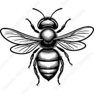 Bee vector clipart - 4 digital download images for cricut & silhouette, svg, png, jpg, pdf, eps files included
