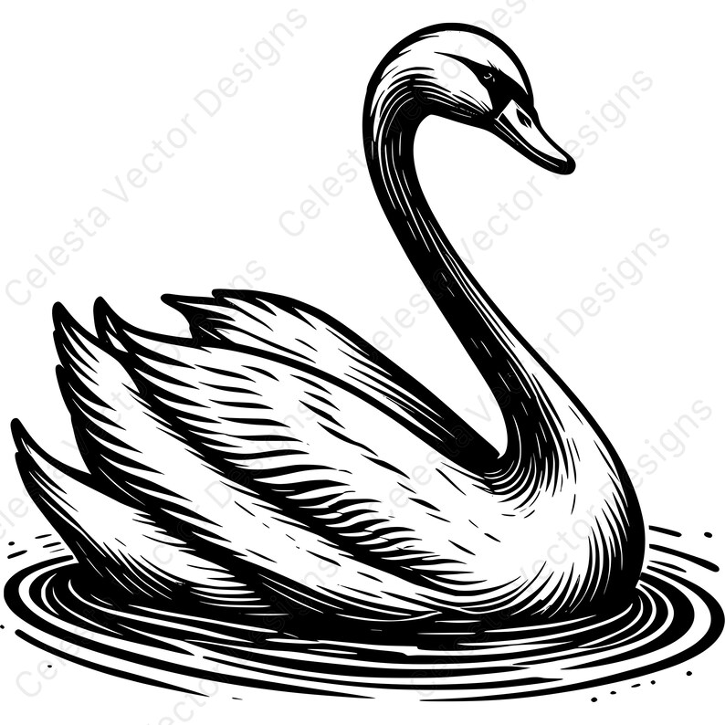 Swan Vector Clipart Bundle - 4 Digital Download Images in Svg, Png, Jpg ...