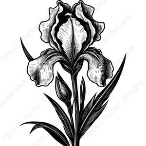 Pode incluir: Ilustração a preto e branco de uma flor de íris. A imagem apresenta uma representação detalhada das pétalas, folhas e caule da flor. O design é um gráfico vetorial, com o texto "Celesta Vector Designs" nos cantos.