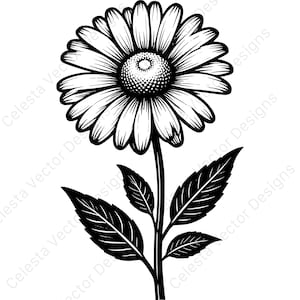 Daisy flower vector clipart digital download - 4 svg images for cricut & silhouette - png, jpg, pdf, eps files included