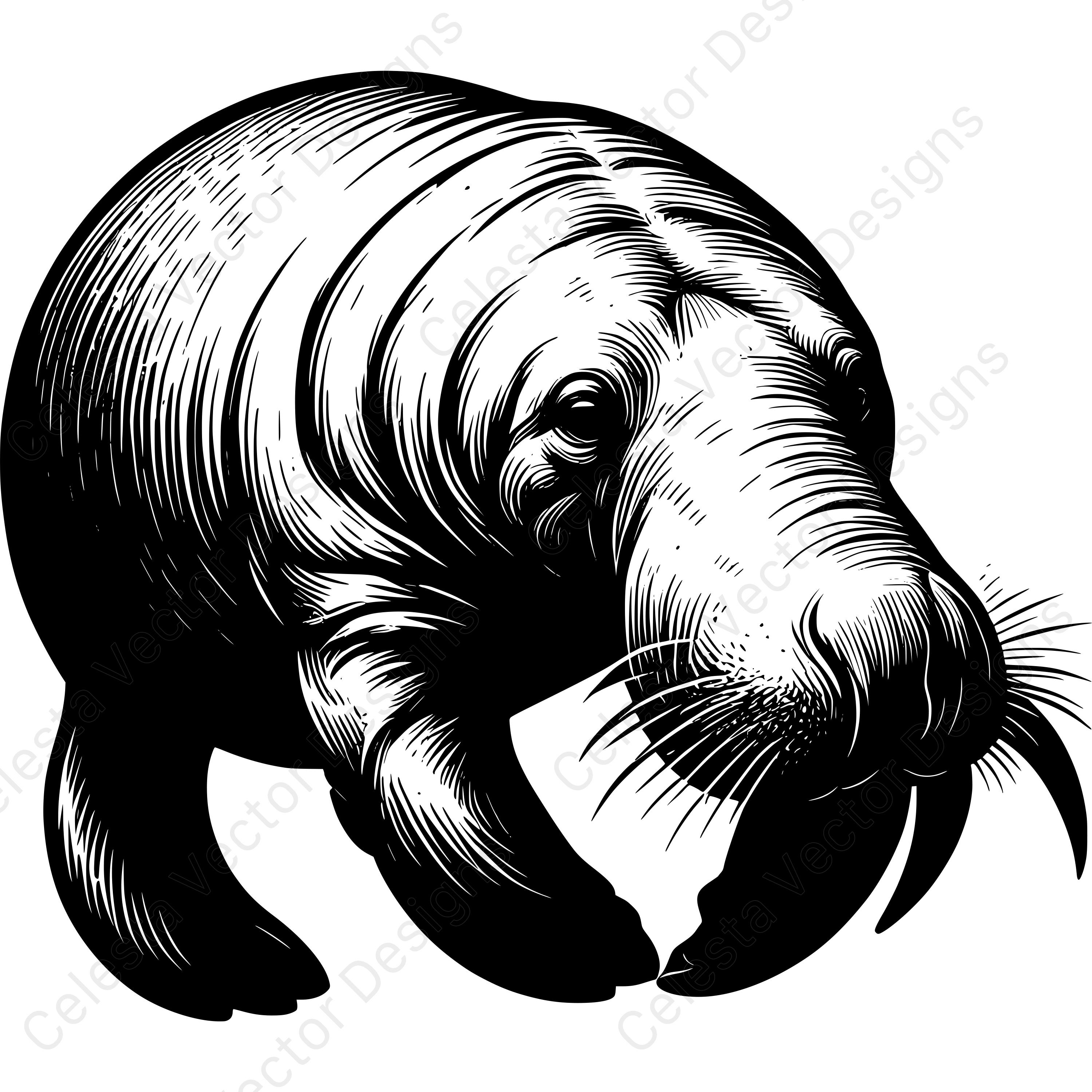Manatee Vector File Manatee Portrait Vector Clipart Set of 4 Images Digital Download Svg ...