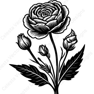 Ranunculus flower clipart - 4 vector images digital download svg png jpg pdf eps for cricut silhouette crafts and decorating