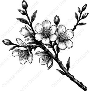以下が含まれることがあります： 詳細な花、つぼみ、葉を持つ、開花した枝の白黒イラスト。この画像は植物をテーマにしており、自然な形を強調する繊細な線画が特徴です。さまざまな用途に適しています。