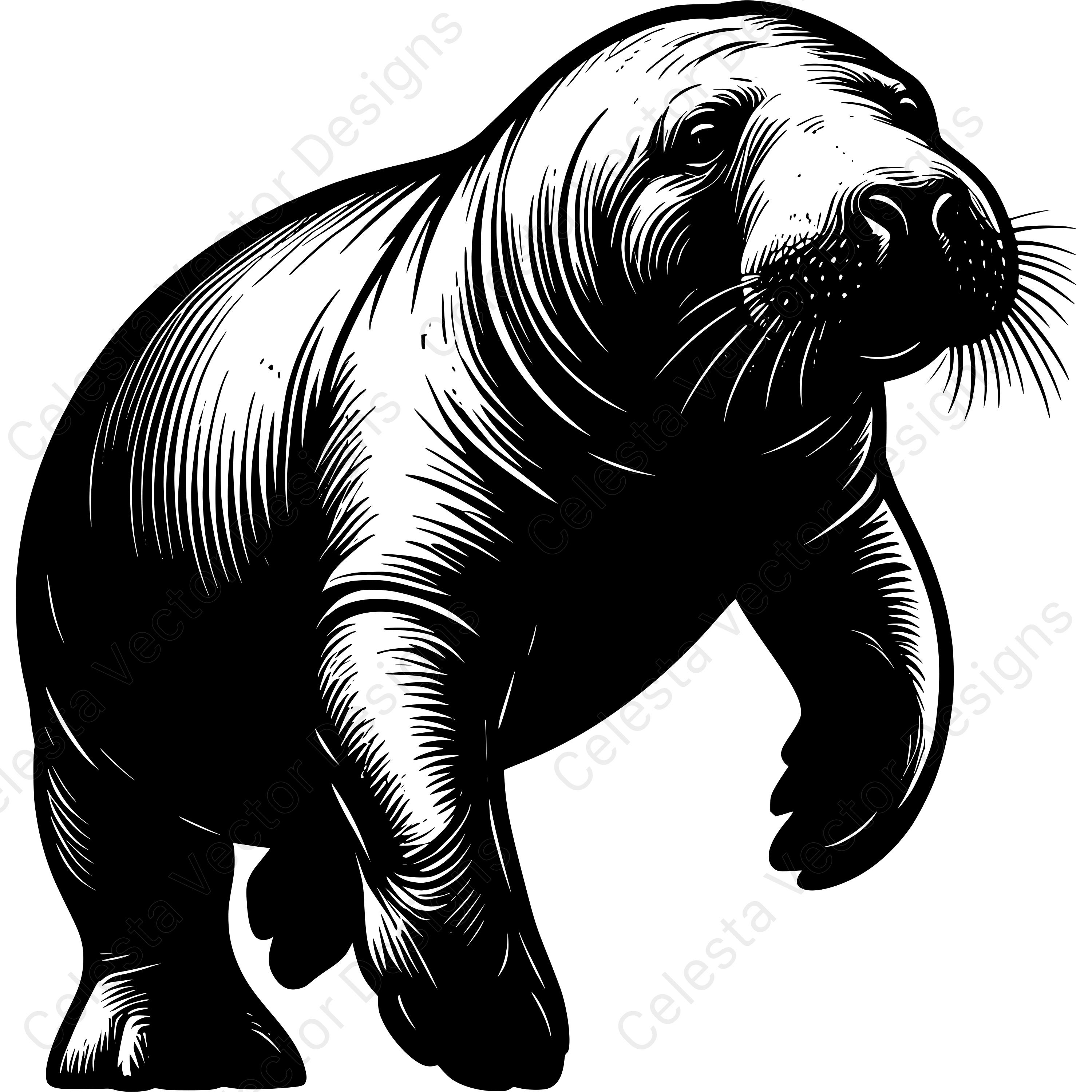 Manatee Portrait Vector Clipart Digital Download - 4 Images Included ...