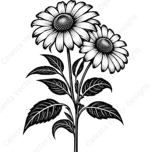 Black-eyed susan vector clipart - 4 png svg digital download for cricut, silhouette, diy projects, floral decor, and crafts