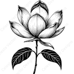 Magnolia bloom clipart set of 4 floral vector images for cricut and silhouette, digital download svg png jpg pdf eps files