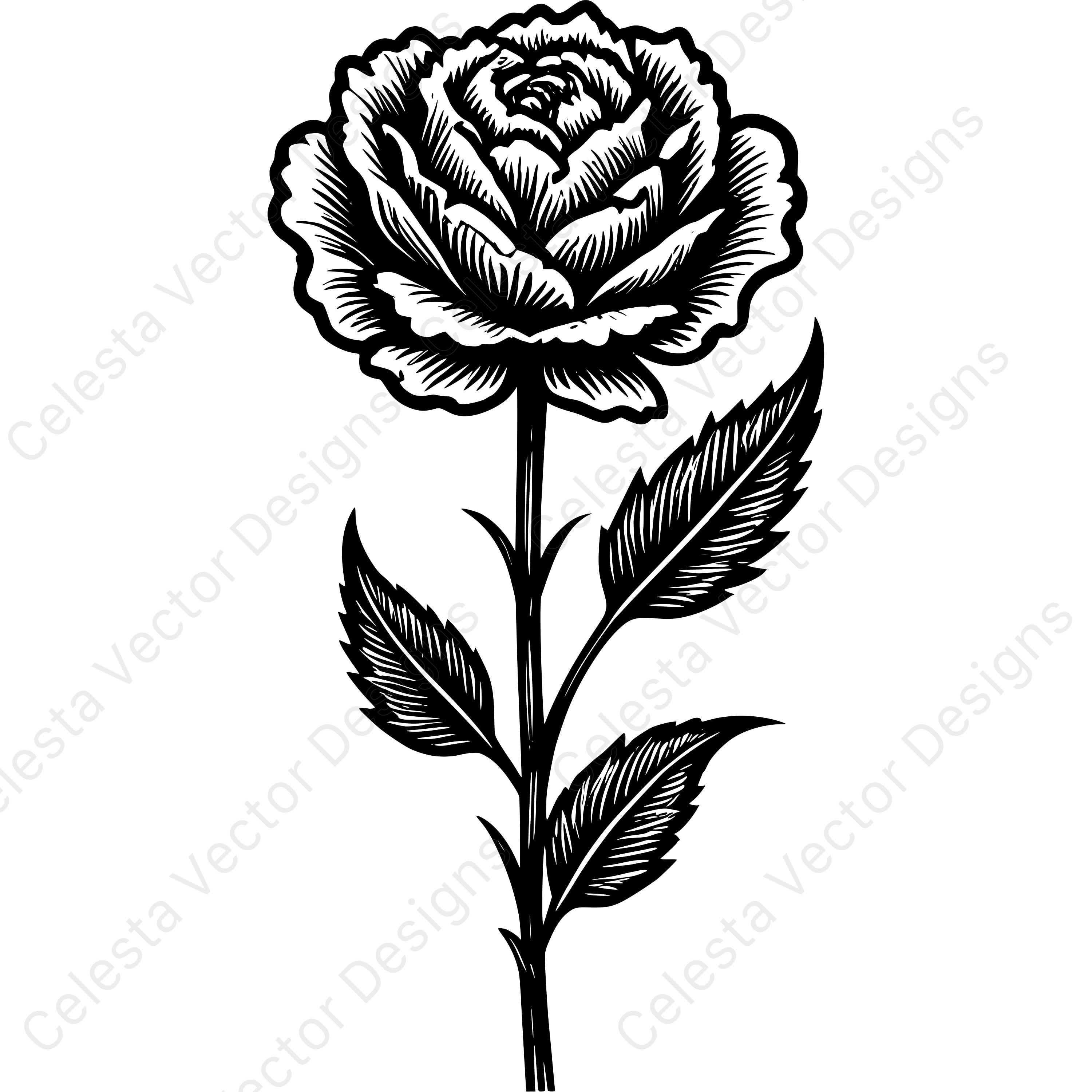 Carnation Flower Clipart Set - 4 Vector Images for Digital Download ...