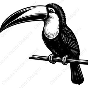 Toucan bird vector clipart - 4 digital download images for cricut, silhouette, svg, png, jpg, pdf, eps files included