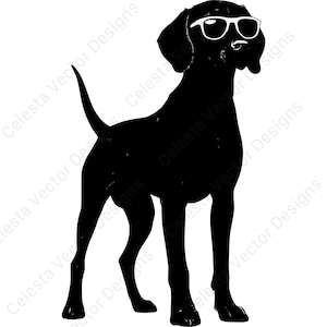 Vizsla full body portrait with cool sunglasses - 4 image vector clipart digital download svg png jpg pdf eps for cricut silhouette