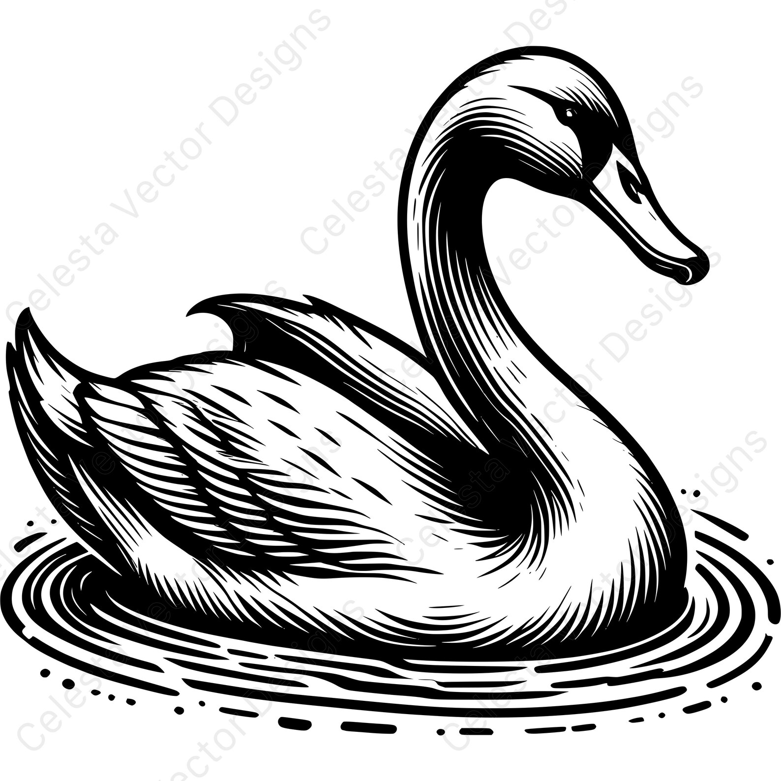 Swan Vector Clipart Bundle - 4 Digital Download Images in Svg, Png, Jpg ...