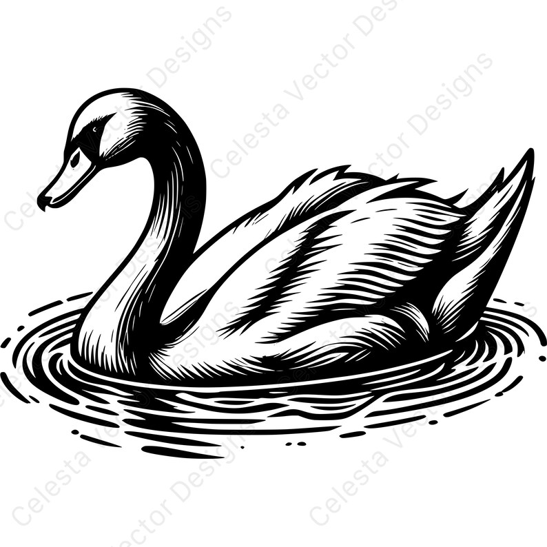 Swan Vector Clipart Bundle - 4 Digital Download Images in Svg, Png, Jpg ...