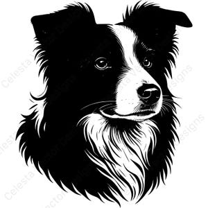 Border collie portrait clipart - 4 vector digital download svg png jpg pdf eps for cricut silhouette design projects