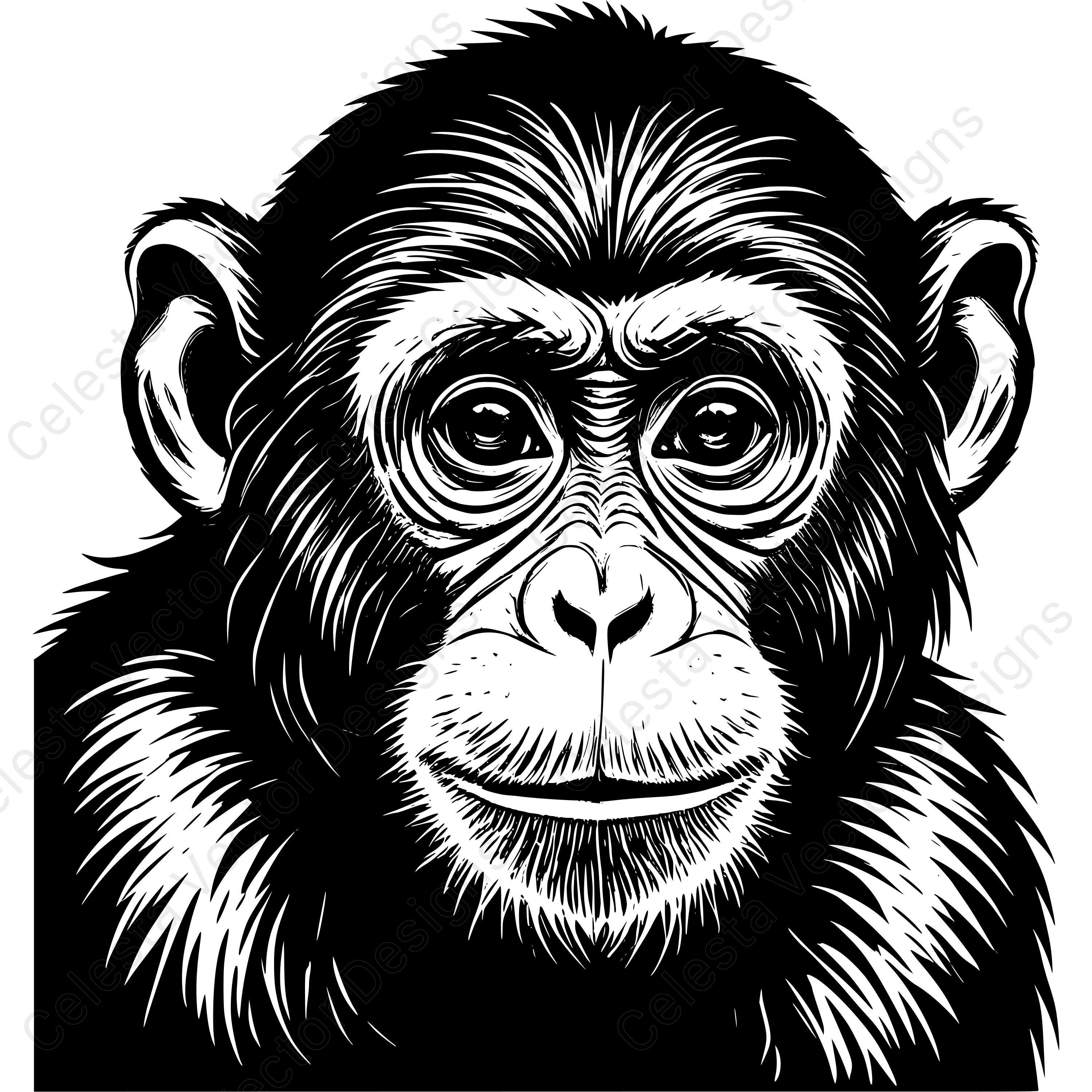 Monkey Portrait Vector Clipart Digital Download - 4 Images in Svg, Png ...