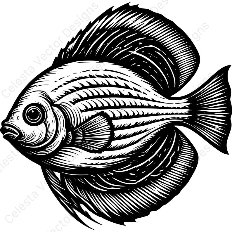 Discus Fish Vector Clipart Set - 4 Digital Download Images for Cricut ...